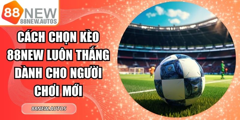Cách Chọn Kèo 88NEW Luôn Thắng Dành Cho Người Chơi Mới