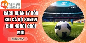 Cách Quản Lý Vốn Khi Cá Độ 88NEW Cho Người Chơi Mới