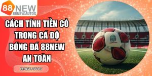 Cách Tính Tiền Cỏ Trong Cá Độ Bóng Đá 88NEW An Toàn