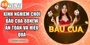 Kinh Nghiệm Chơi Bầu Cua 88NEW An Toàn Và Hiệu Quả