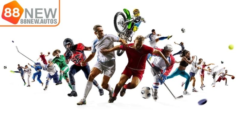 Tổng quát về sảnh thể thao 88NEW